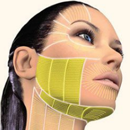 lower face